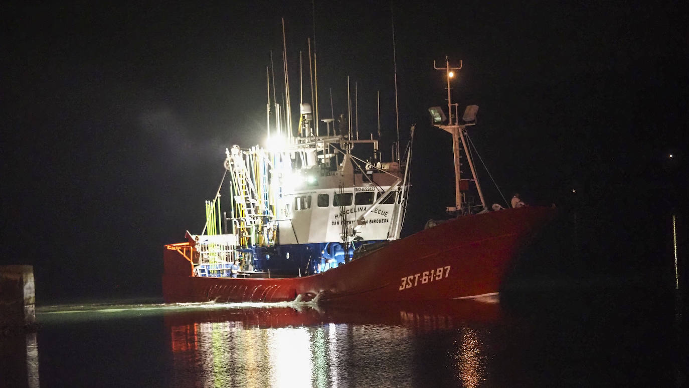 Fotos: Descarga de bonito en Santoña y subasta en la lonja de Laredo