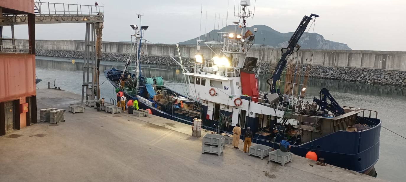 Fotos: Descarga de bonito en Santoña y subasta en la lonja de Laredo