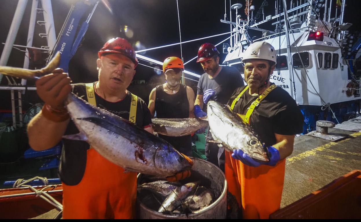 A las siete de la mañana, el pesquero 'Marcelina Lecue' ha desembarcado en el puerto de Santoña 4.500 kilos de bonito.