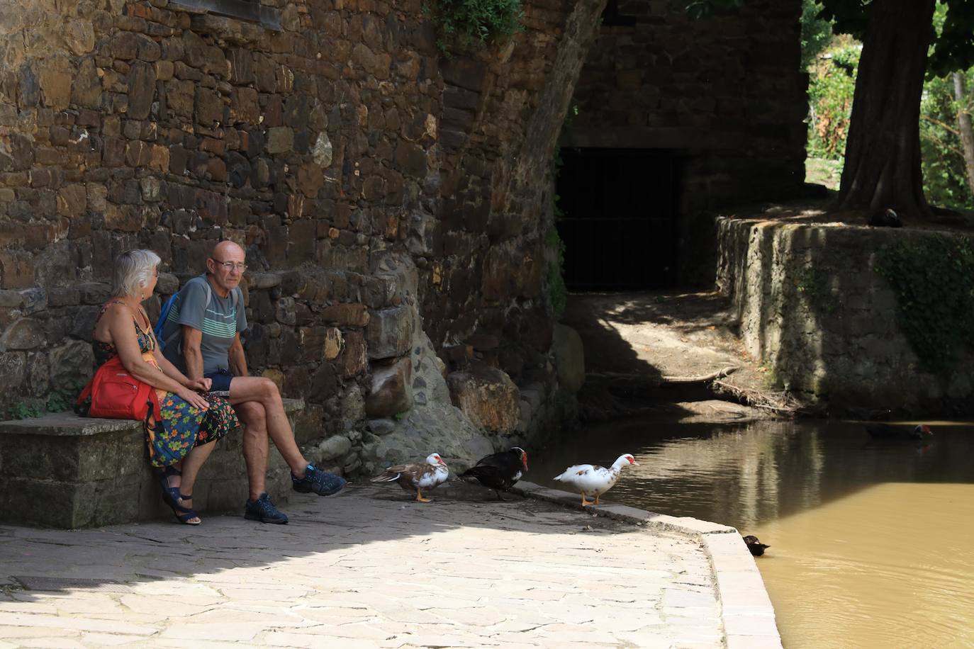 A la orilla del río Quiviesa, buscando la sombra.