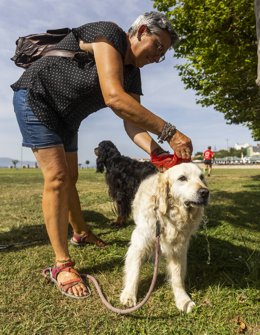 Una mujer refresca al perro en la campa de La Magdalena.