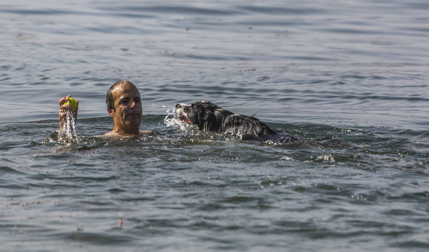 Un hombre juega con su perro en el agua.