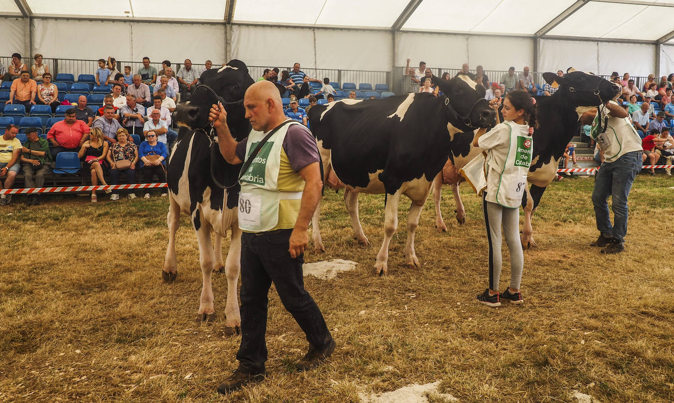 Este domingo se ha celebrado la 145 edición del Concurso-exposición del ganado vacuno frisón de San Antonio, en Renedo de Piélagos, que ha contado con la participación de 46 animales procedentes de 10 ganaderías de la región. En este marco, se han otorgado los premios más relevantes, incluso el de 'Gran Vaca Campeona', que en esta ocasión ha recaído en la ganadería Llera Her S.C, de Valdáliga. La feria forma parte de las actividades que se han celebrado en el municipio para celebrar la festividad de San Antonio, entre las que también destaca un concurso monográfico de mastín español; la feria agroalimentaria Gran Fiesta de la Leche, arrastre de bueyes y un espectáculo ecuestre.