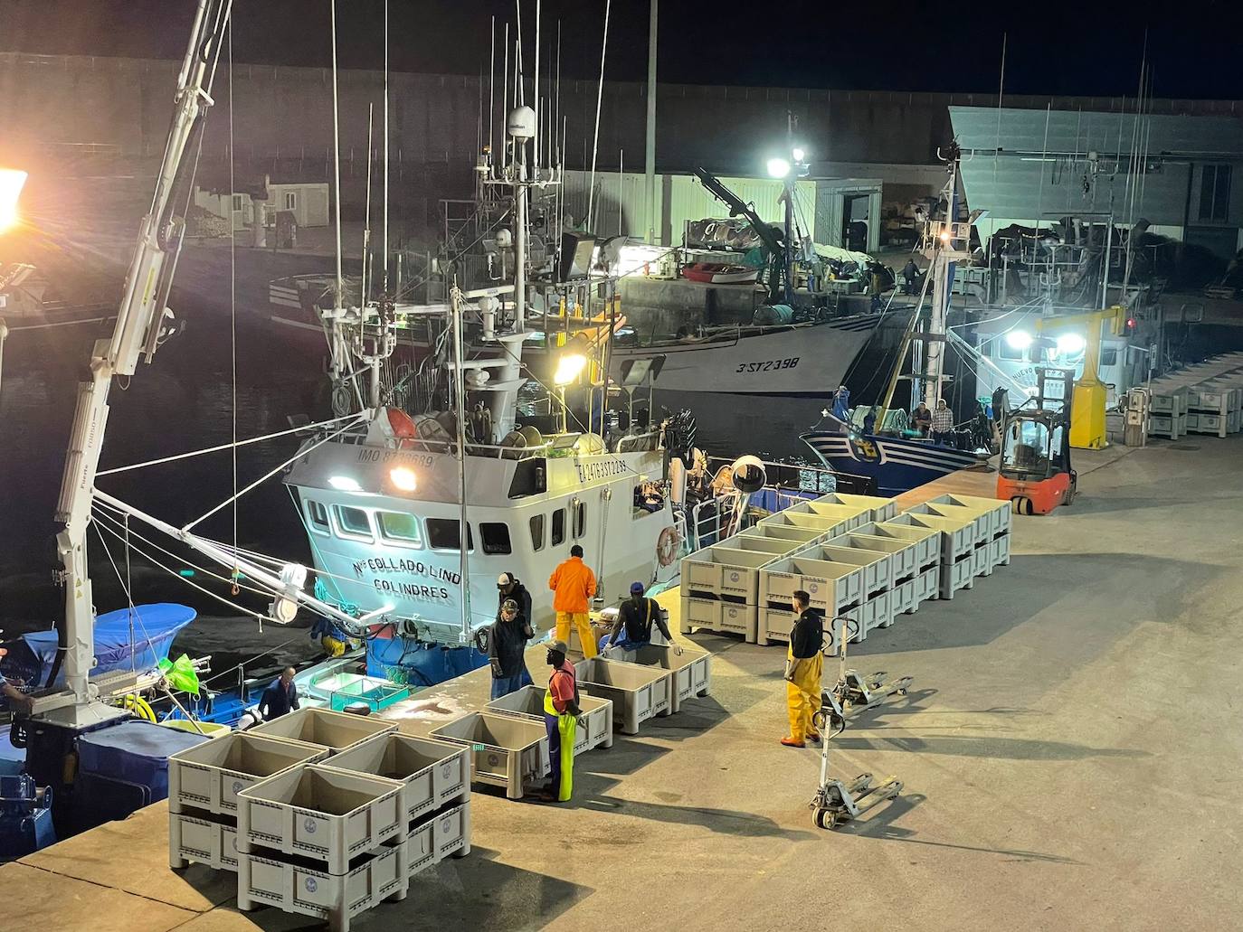 Cuatro barcos 'de pulso' y uno de cacea arrancan la semana con un precio medio de 6 euros el kilo por los bonitos grandes y de 4,20 euros el kilo de los medianos.