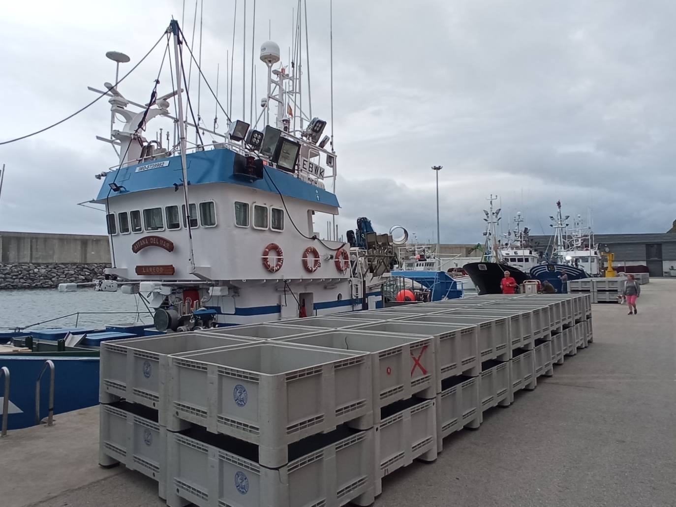 Cuatro barcos 'de pulso' y uno de cacea arrancan la semana con un precio medio de 6 euros el kilo por los bonitos grandes y de 4,20 euros el kilo de los medianos.