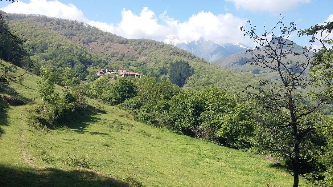 Casa de la Naturaleza de Pesaguero, Red Natura 2000 en Liébana. Plazas libres: 25. Duración: 2:30 horas Longitud: 4 km Desnivel: 230 m Dificultad: Baja Gratuita. Necesaria reserva previa. Éste recorrido permite disfrutar de un entorno de mosaico