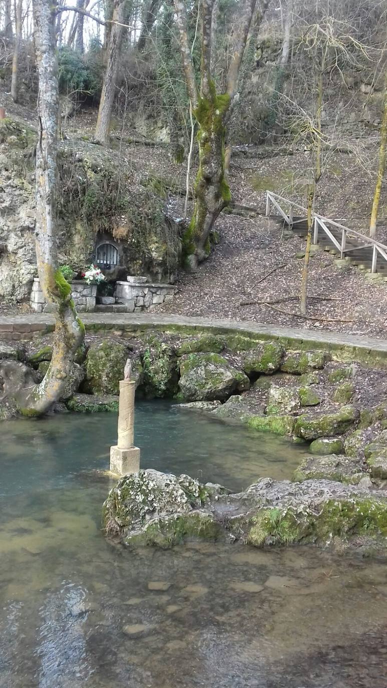 Centro Ornitológico Embalse del Ebro, ENP de Campoo Los Valles. Plazas libres: 12. Duración: 1:45 horas. Dificultad: Baja. Gratuita. Necesaria reserva previa. 