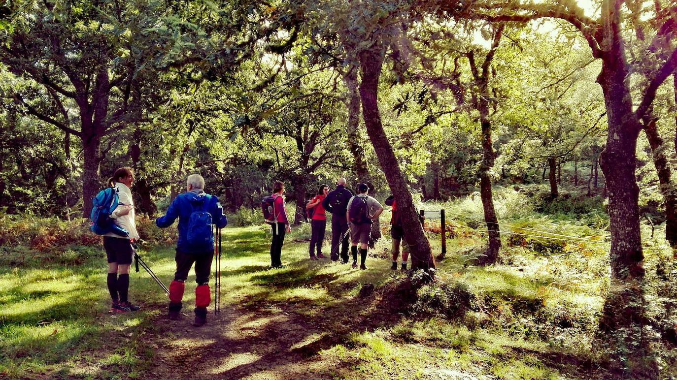 Casa de la Naturaleza de Pesaguero, Red Natura 2000 en Liébana. Plazas libres: 8. Duración: 4:30 h. Duración total de la actividad: 5:30 h. Desnivel: 500 metros. Distancia: 9 Km. Tipo de firme: Sendero, camino de herradura.