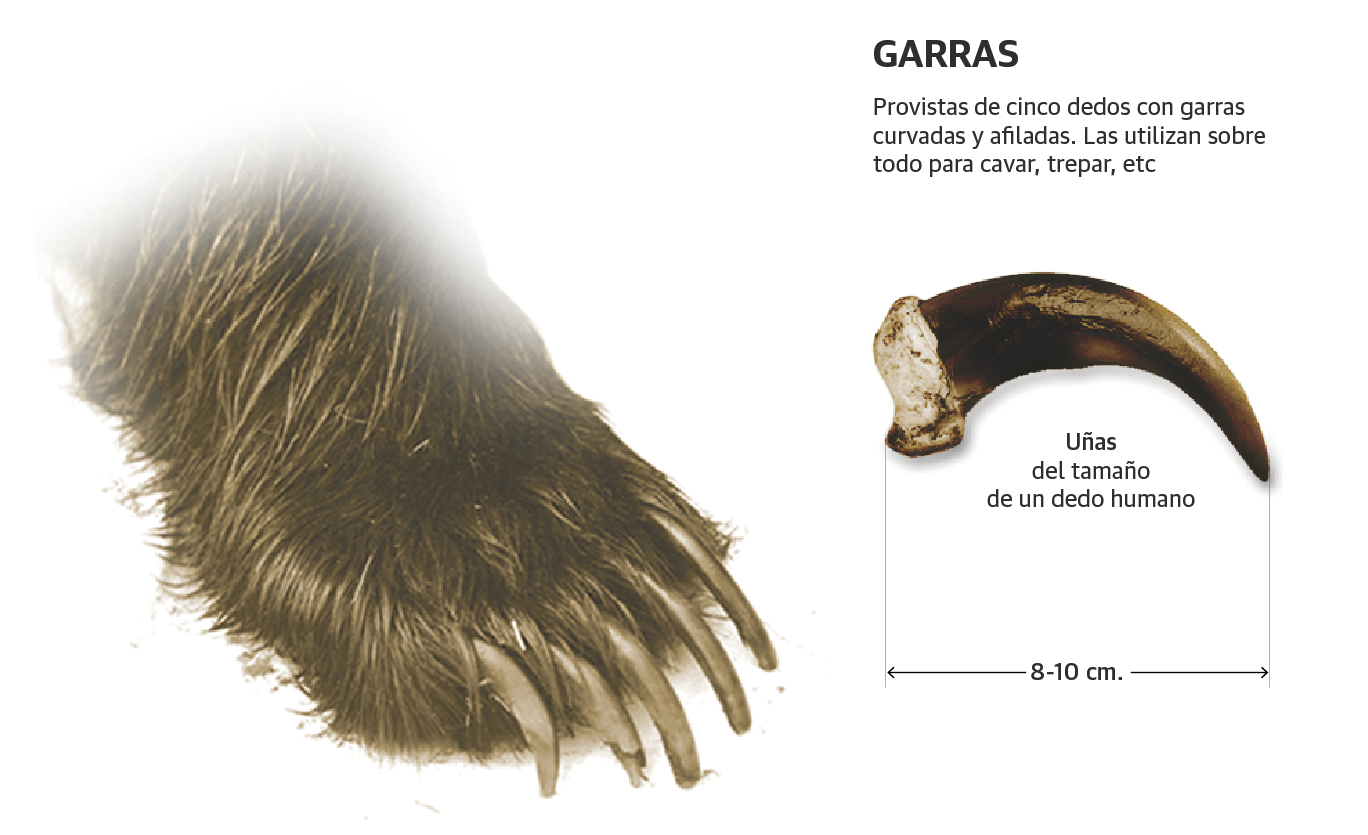 Scroll Story imagen 1