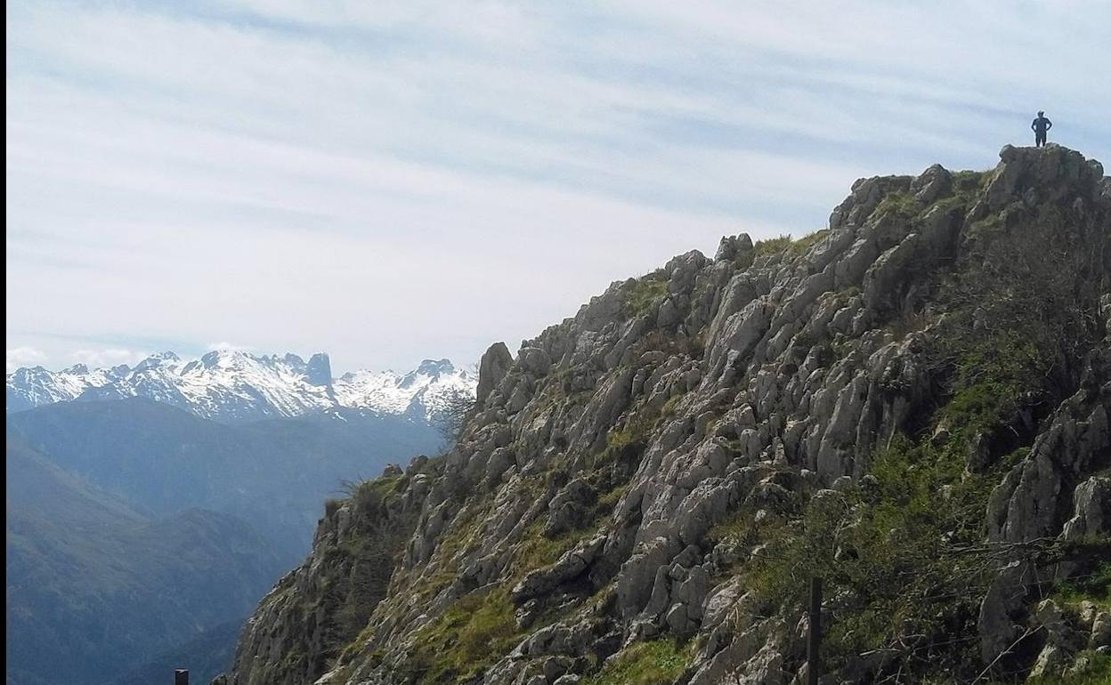 En la subida al Liño destaca la visión de los tres macizos de los Picos de Europa, con el picu Urriellu reinando en la estampa.