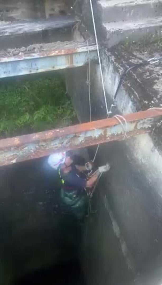 Otra imagen del rescate de la cabra.