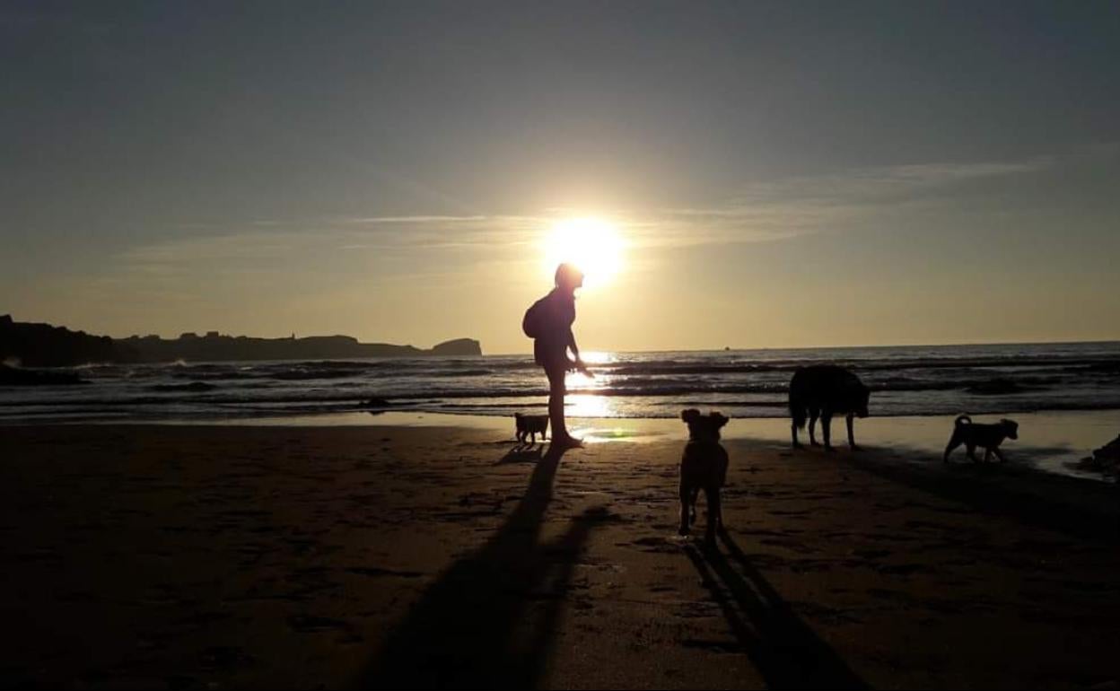 Un grupo de perros disfruta de uno de los arenales de Miengo. 