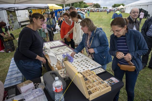 La fiesta en Latas congregó numeroso público.