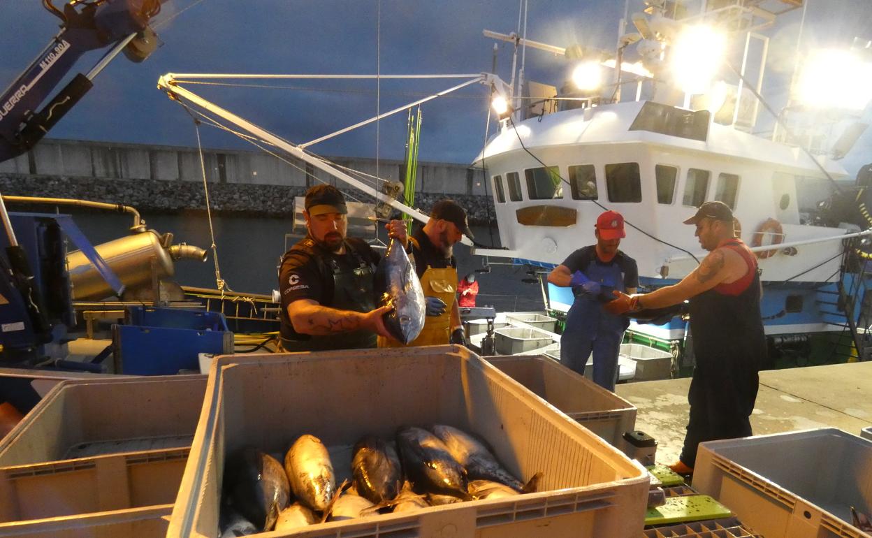 La costera del bonito arranca al ralentí debido a las malas condiciones de la mar