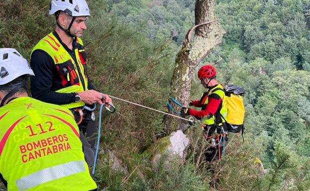 Imagen principal - Bomberos del 112 salvan a un perro que llevaba días subido a una piedra en un precipicio de Tudanca