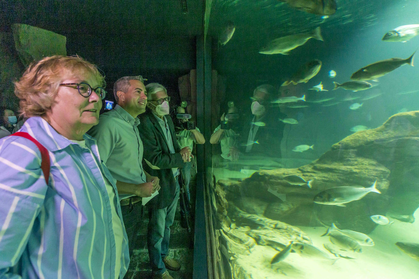 Fotos: Así son los tres nuevos tiburones grises del MMC