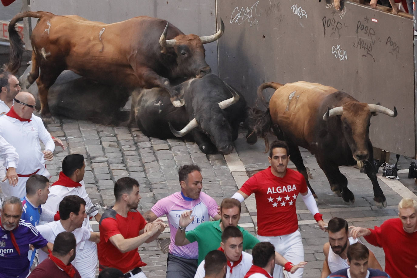 Los toros de la ganadería gaditana de Cebada Gago caen a su llegada a la curva de Mercaderes antes de enfilar la Estafeta. 