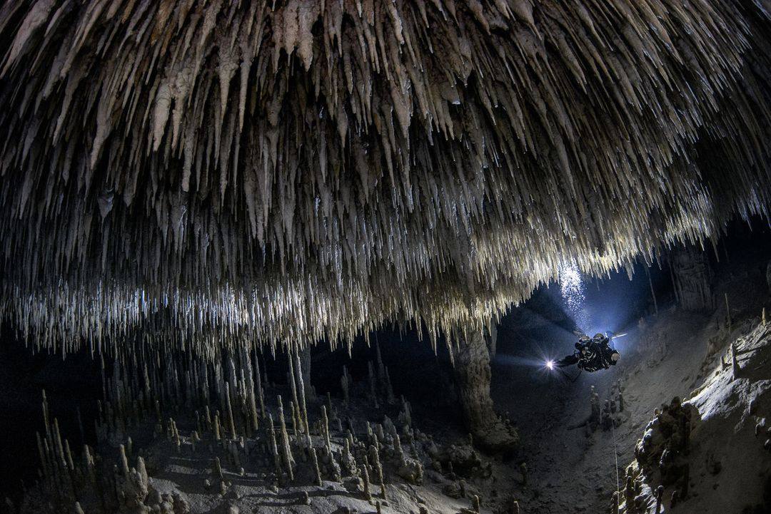 Muyil, Quintana Roo, México. Al tomar esta fotografía, el fotógrafo deseaba resaltar la increíble belleza natural que se encuentra en los sistemas de cuevas submarinas de la Riviera Maya de México, pero también llamar la atención sobre las amenazas a su frágil ecosistema. Aunque estas cuevas son una parte importante del acuífero, están bajo una creciente presión turística que conduce al desarrollo excesivo de la región. Actualmente se está construyendo un enlace ferroviario a gran escala en toda la península de Yucatán, lo que pone en peligro tanto a la selva como a la cueva, además de desplazar potencialmente a las comunidades mayas locales.