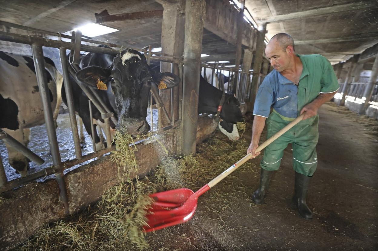 Manuel Sainz, de Ganadería La Plata en Cabezón de la Sal, es uno de los damnificados por el 'cártel de la leche'.