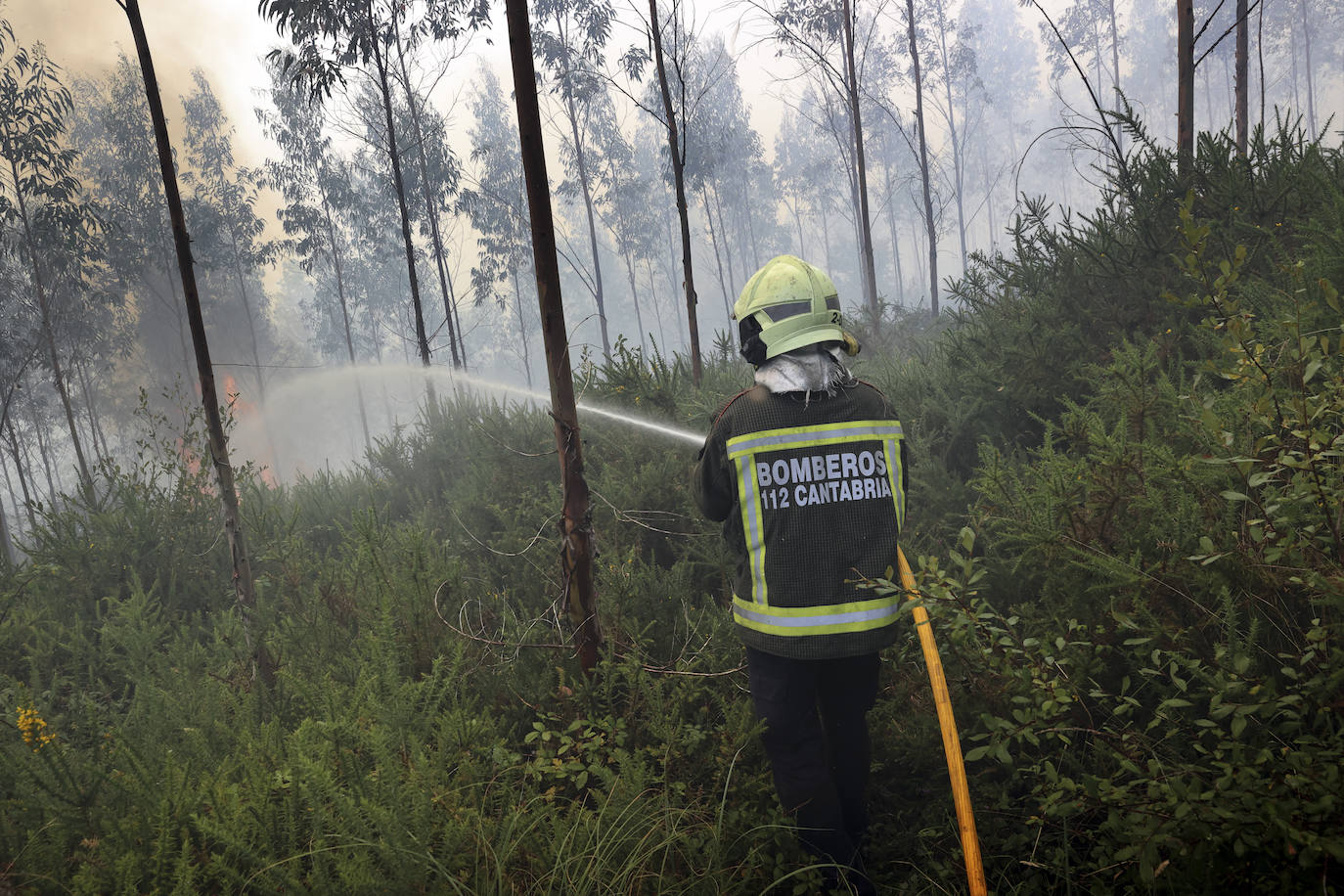 Fotos: La ola de calor deja el primer incendio intencionado