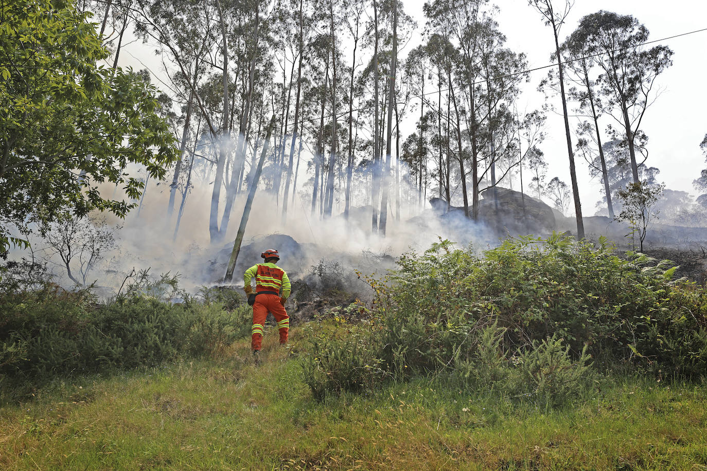 Fotos: La ola de calor deja el primer incendio intencionado