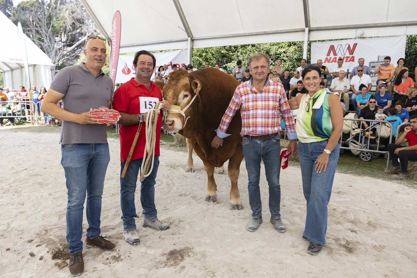 Fotos: Segunda jornada del I concurso de Ganado Vacuno de Mataleñas