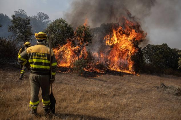 Varios bomberos trabajan en la extinción del fuego del incendio de Losacio, en Pumarejo de Tera Castilla y León 