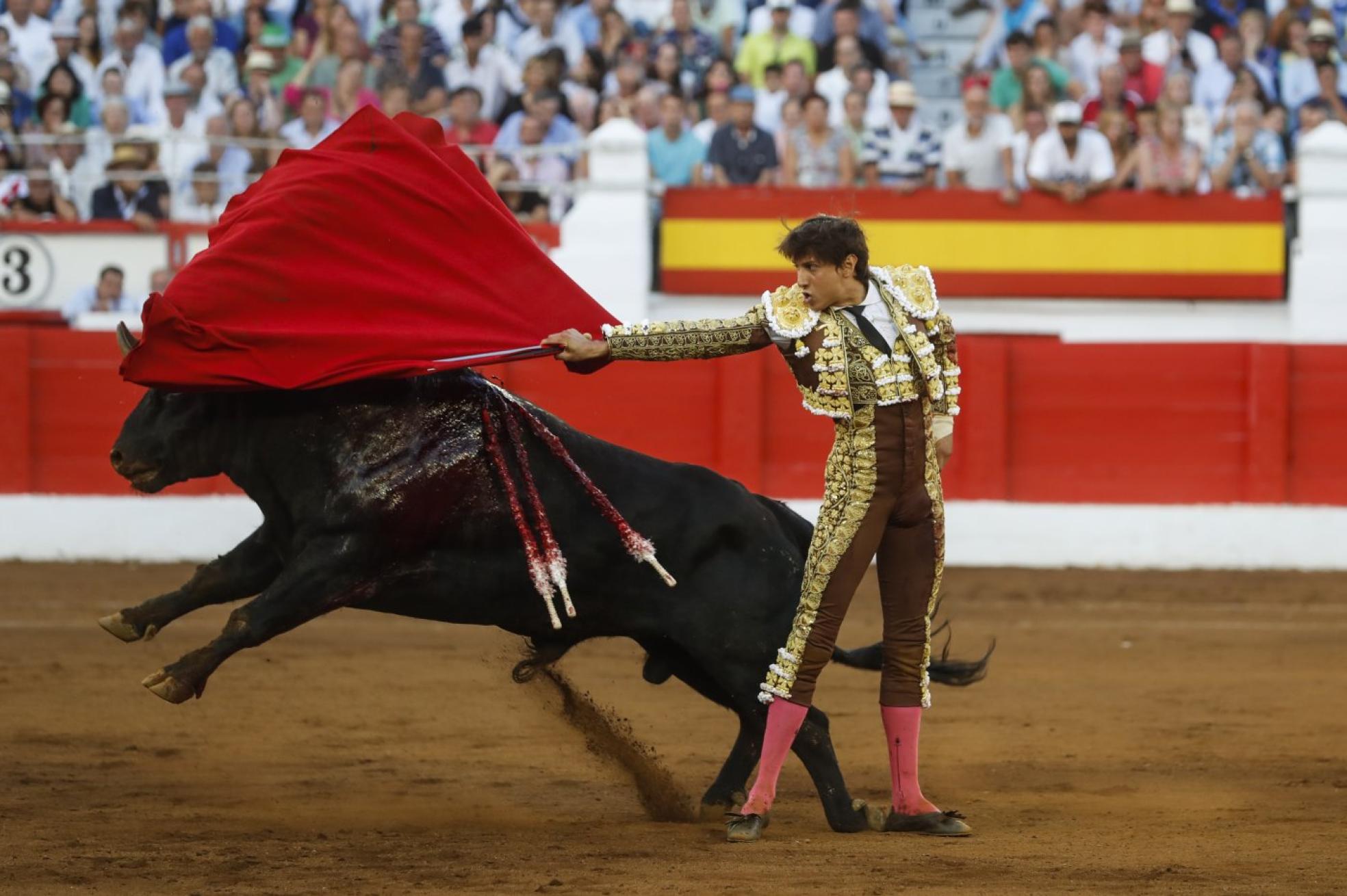 El valor es la seña de identidad del toreo de Andrés Roca Rey, como ayer volvió a demostrar sobre el ruedo santanderino.