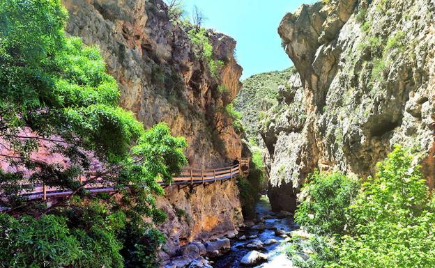 Ruta por la cerrada del río Castril (Granada). En el hermoso pueblo de Castril, con sus casitas blancas, y algunas casonas señoriales, parte nuestro paseo en dirección a La Arboleda Perdida, –nombre que recibe de una de las obras de Rafael Alberti–. A modo de denso túnel verde nos resguarda del sol.