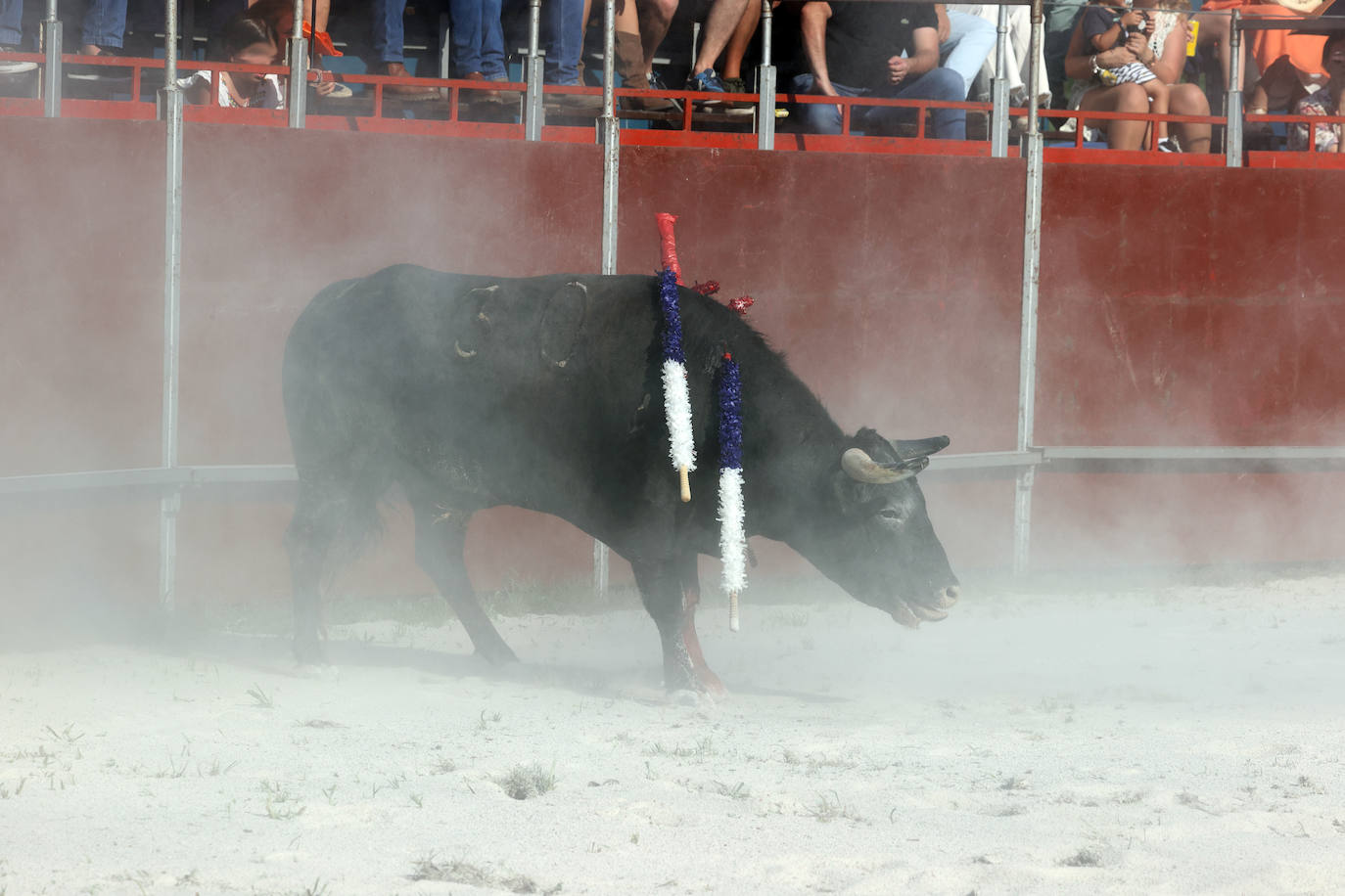 Fotos: Imágenes del festejo taurino de Treceño