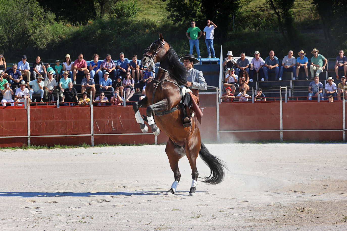 Fotos: Imágenes del festejo taurino de Treceño