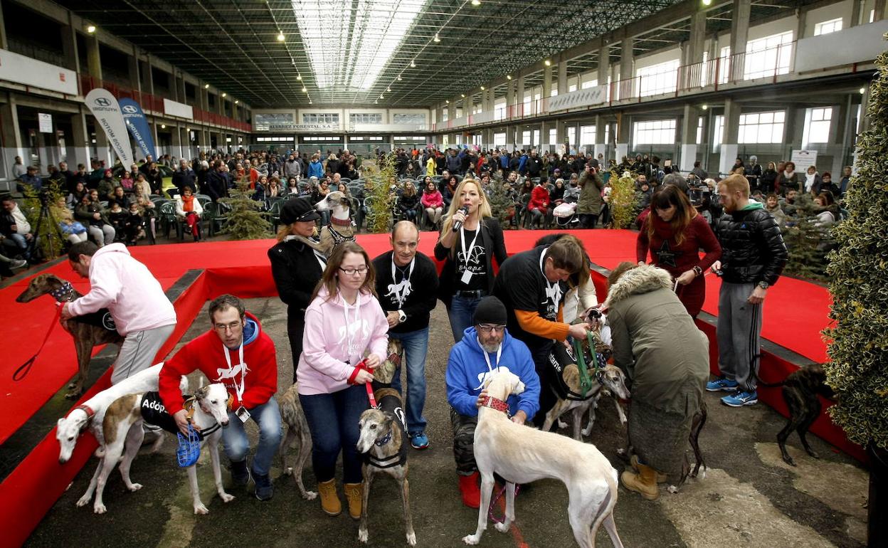 La Asunción acoge hoy la VI Jornada de Adopción y Respeto a los Animales