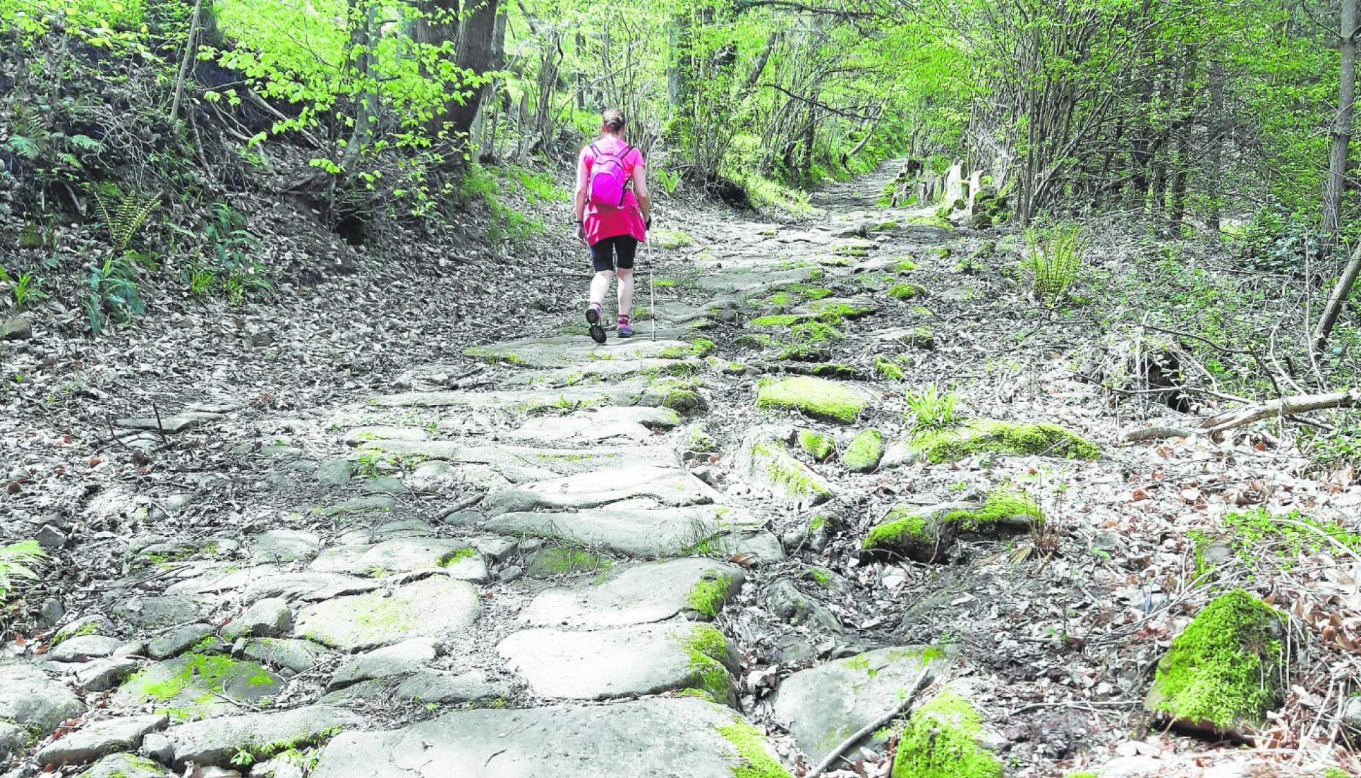 La calzada parte de Pie de Concha y se adentra en Montabliz entre bosques de ensueño y poblaciones prácticamente abandonadas con un encachado en buen estado. 