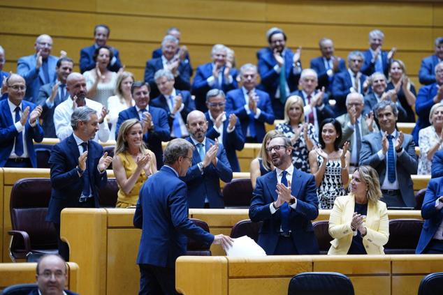 La bancada del Partido Popular aplaude a Núñez Feijóo tras su intervención en el Senado. 