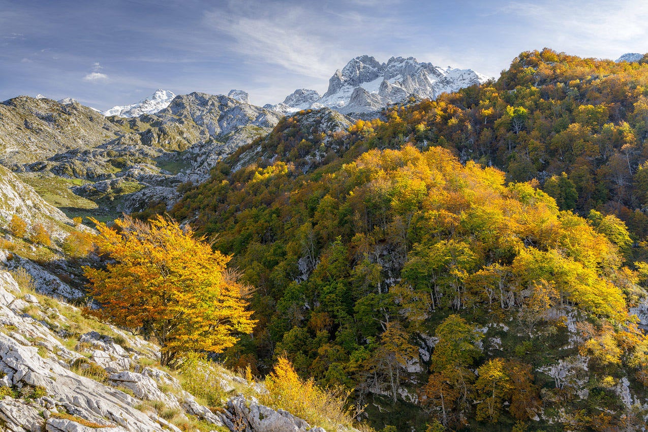 Lastra confiesa ser un enamorado de los Picos de Europa y de todas las características excepcionales que confluyen en ellos y los hacen únicos.