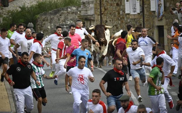 Segundo encierro en Ampuero: limpio, muy rápido y sin momentos de peligro