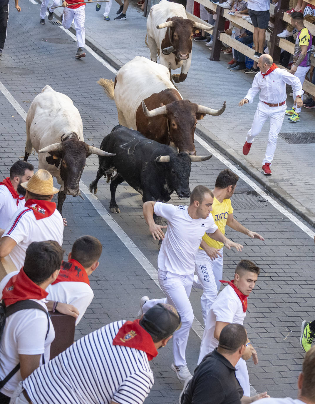 Fotos: Emocionante tercer encierro de las Fiestas de Ampuero