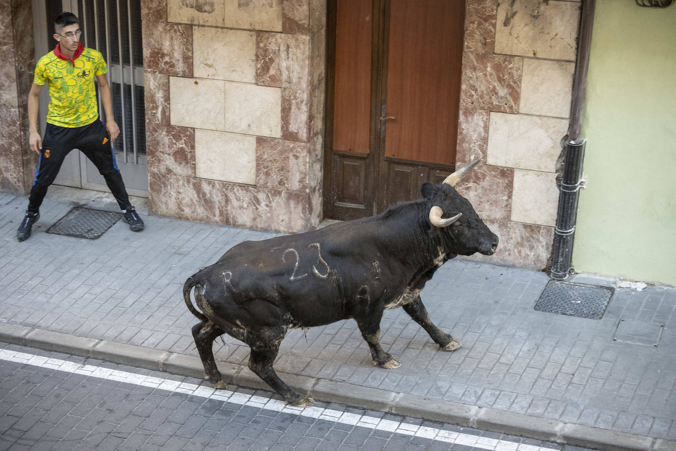 Fotos: Emocionante tercer encierro de las Fiestas de Ampuero