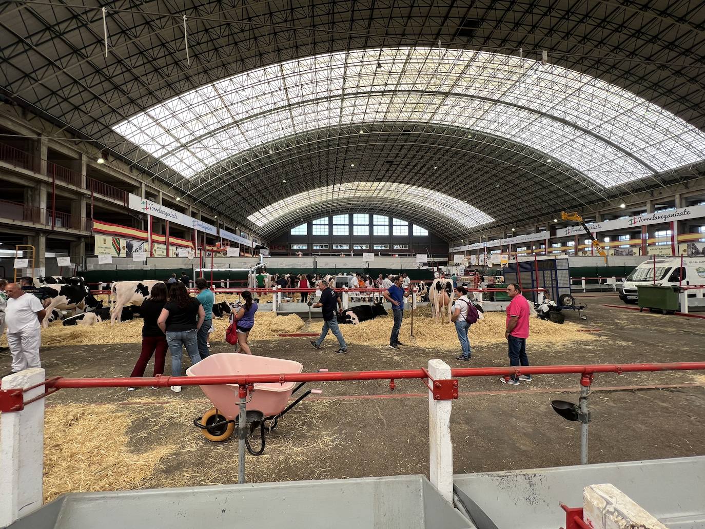 Fotos: Imágenes del Regional de vacas frisonas