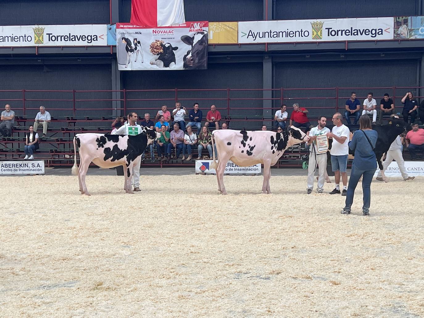 Fotos: Imágenes del Regional de vacas frisonas