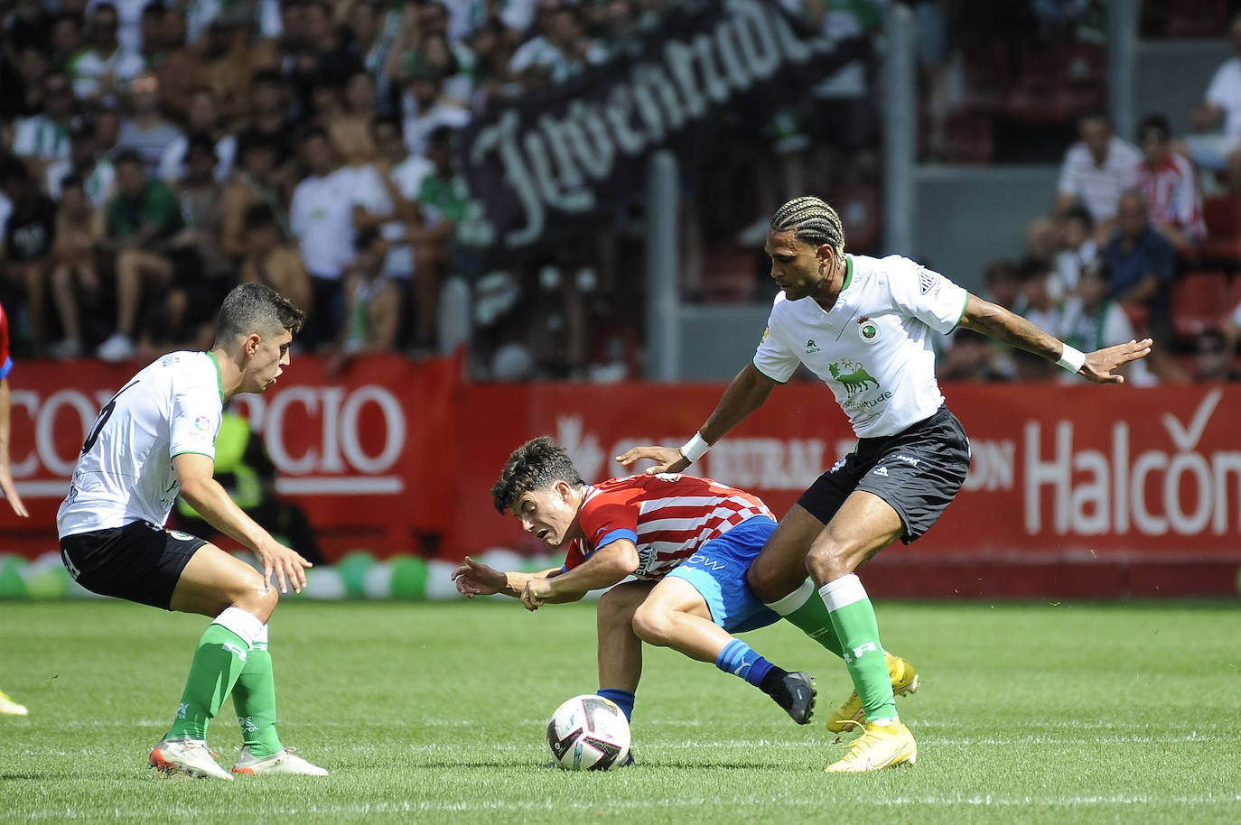 Fotos: Imágenes del partido Sporting-Racing en El Molinón