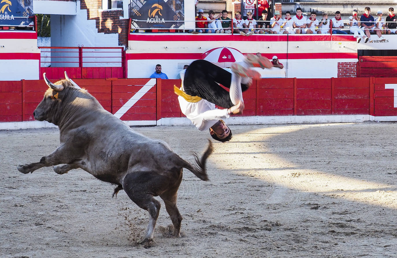 Fotos: Imágenes del concurso de recortadores de Ampuero