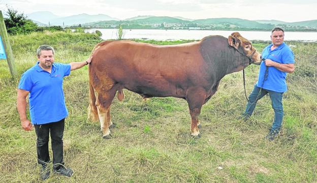 Rubén Tabernilla y José Miguel Gomé posan junto a Ralph Lauren en la finca donde lo cuidan, situada a un paso de las marismas de Colindres. 