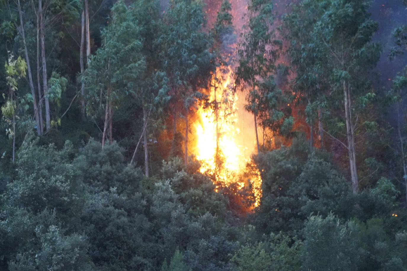 Imágenes tomadas esta noche por vecinos de Solares y de otros puntos, en las que se ven focos en terrenos de Sobremazas, San Vitores y Heras. Por la mañana, sigue habiendo bastantes focos activos y los bomberos forestales han tenido que entrar en propiedades particulares de Santiago de Cudeyo para poder acceder a algunos de los fuegos.