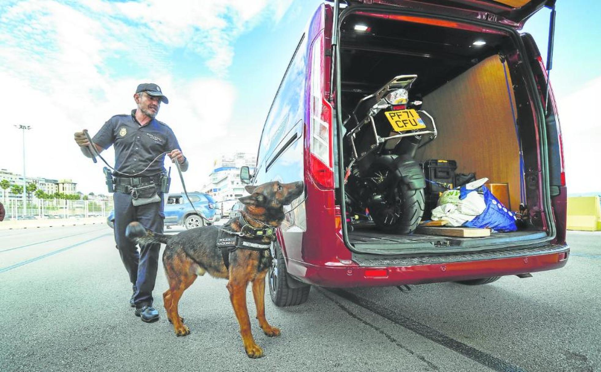 Policías caninos. El control de explosivos y drogas entra dentro de la rutina habitual del Puerto