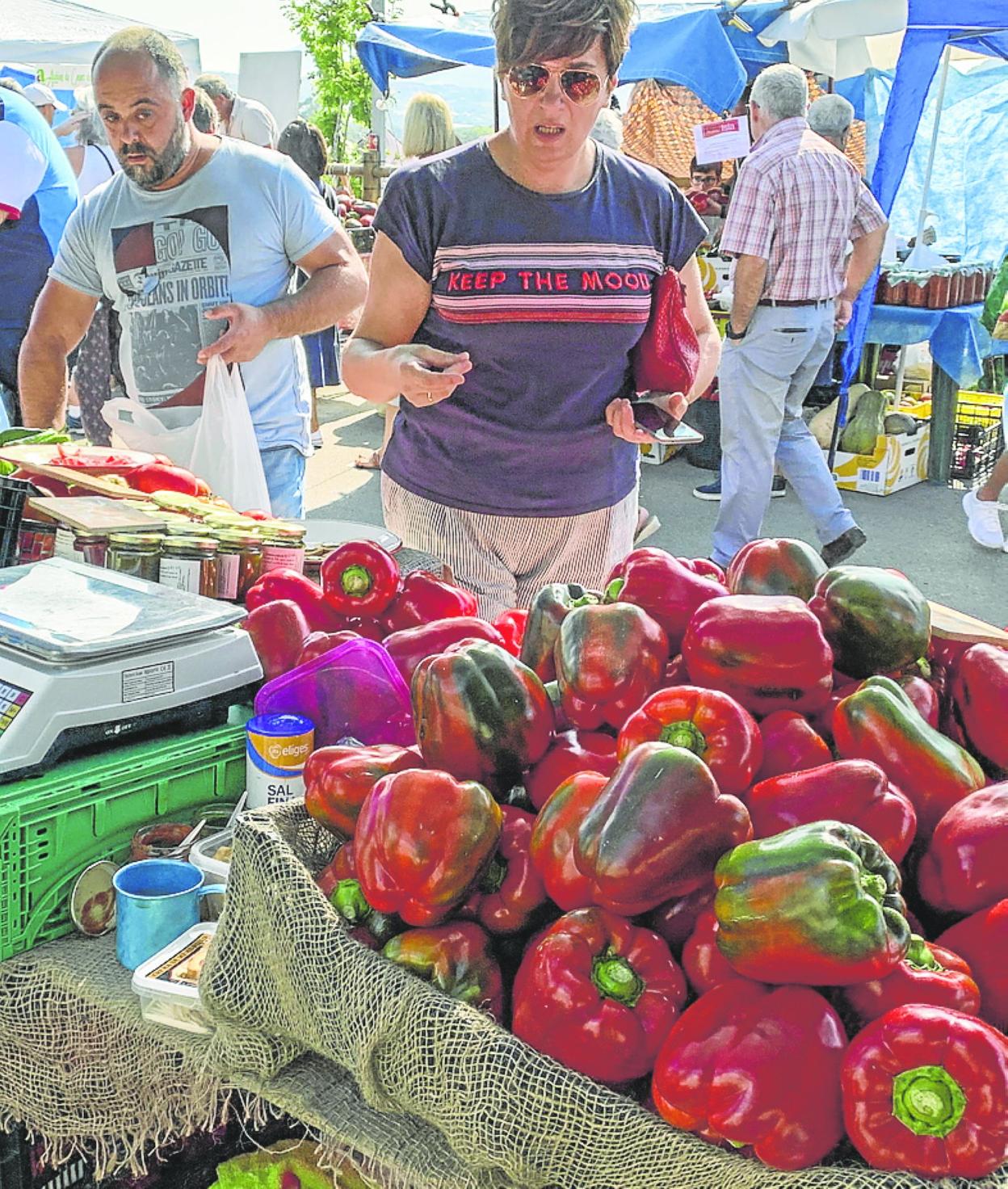 Septiembre es el mes del pimiento en la huerta trasmerana. SANE