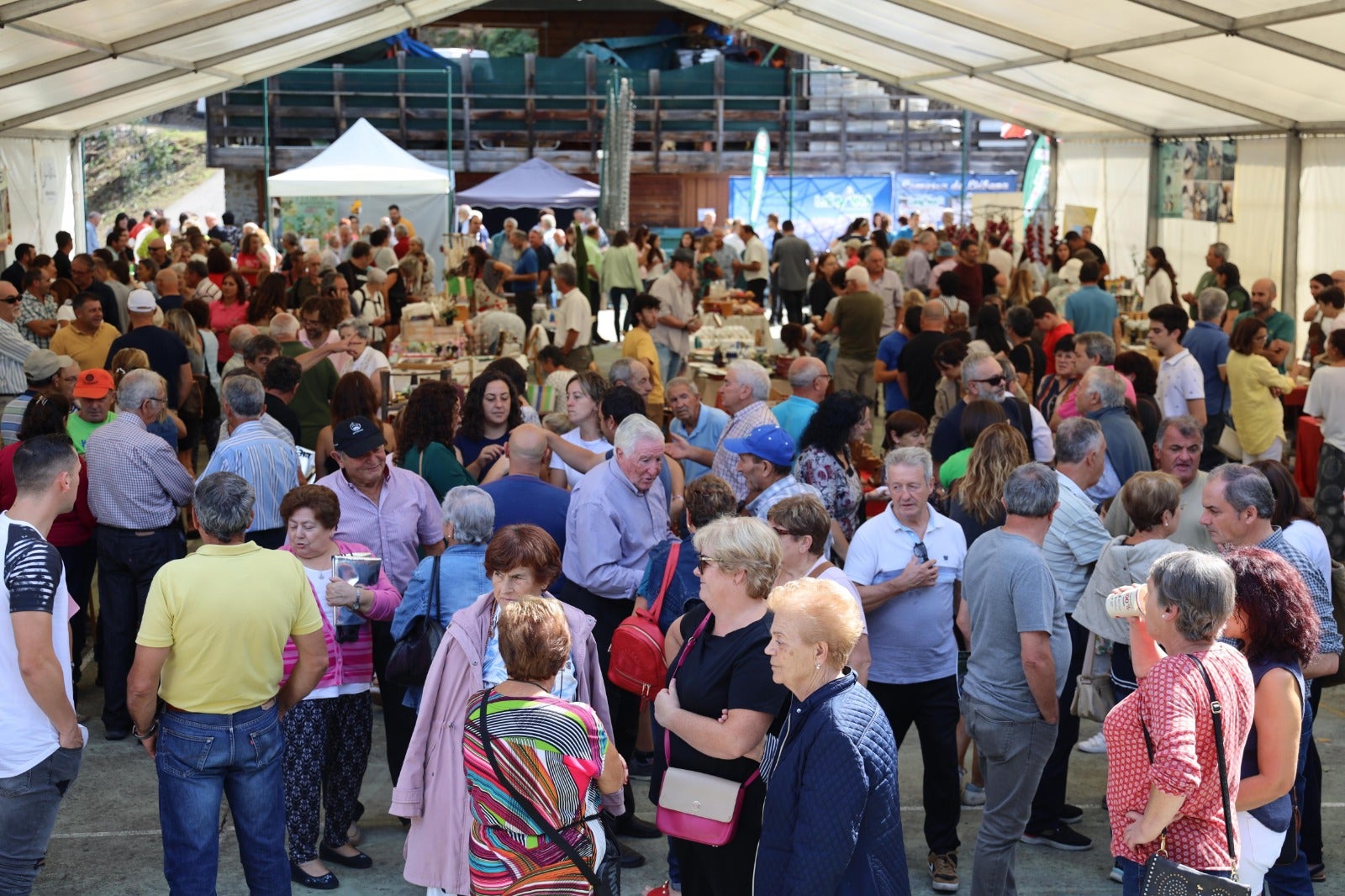 Fotos: Éxito de participación en la Feria de la Miel de Vega de Liébana