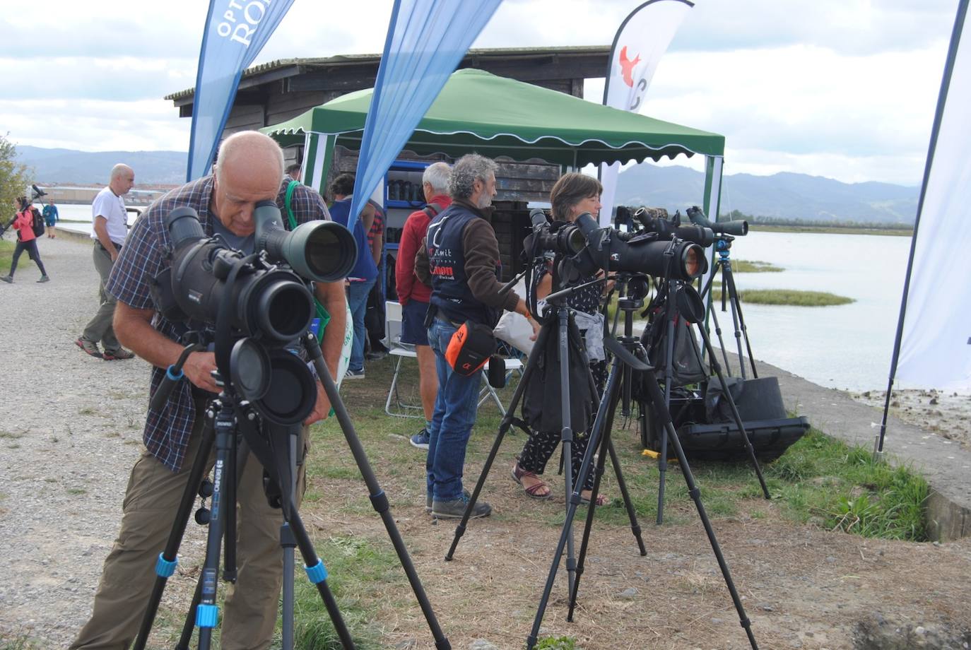 Fotos: Festival de Migración de las Aves en las marismas de Santoña