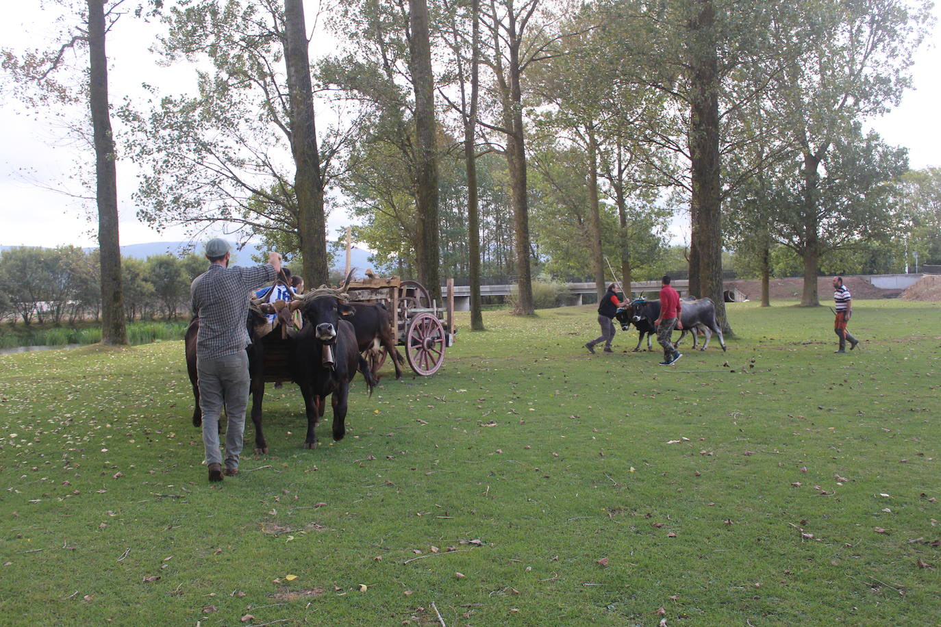 Fotos: Preparados para el Día de Campoo