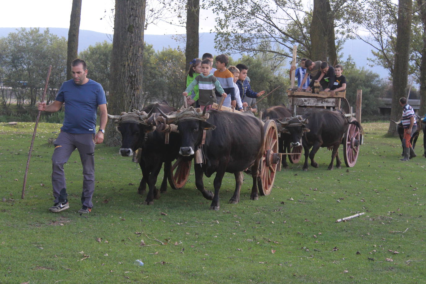 Fotos: Preparados para el Día de Campoo